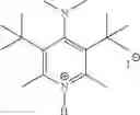 Fig. 10 - Method for preparing polylactone by ring opening