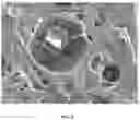 Fig. 06 - Controlled polymer foaming by tuning surface interactions between blowing agents and minerals