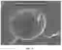 Fig. 08 - Controlled polymer foaming by tuning surface interactions between blowing agents and minerals