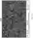 Fig. 06 - Covalent conjugates of graphene nanoparticles and polymer chains and composite materials formed therefrom