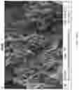Fig. 09 - Covalent conjugates of graphene nanoparticles and polymer chains and composite materials formed therefrom