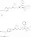 Fig. 09 - ARTICLES AND COMPOSITIONS COMPRISING HOST POLYMERS AND CHROMOPHORES AND METHODS OF PRODUCING THE SAME