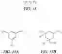 Fig. 07 - POLYMERIC HAIR COLOR COMPOSITION