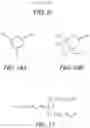 Fig. 08 - POLYMERIC HAIR COLOR COMPOSITION