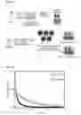 Fig. 04 - Antimicrobial polymer coating composition and antimicrobial polymer film