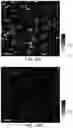 Fig. 28 - Methods for nondestructive dispersing of carbon nanomaterials in water