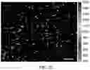 Fig. 32 - Methods for nondestructive dispersing of carbon nanomaterials in water