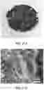Fig. 33 - Methods for nondestructive dispersing of carbon nanomaterials in water