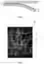 Fig. 02 - LAMINATE AND ROLL