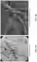 Fig. 02 - All-Weather Pressure-Sensitive Adhesive