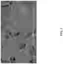 Fig. 04 - All-Weather Pressure-Sensitive Adhesive