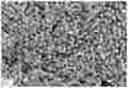 Fig. 01 - Composition including a plurality of abrasive particles and method of using same