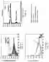 Fig. 06 - Composite scintillators