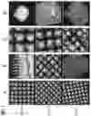 Fig. 02 - Process of manufacturing a conversion element, conversion element and light emitting device comprising the conversion element