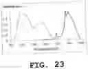 Fig. 24 - Light emitting device and phosphor