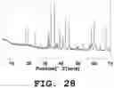 Fig. 29 - Light emitting device and phosphor