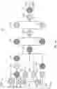 Fig. 10 - Refinery pre-heat train systems and methods