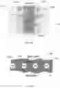 Fig. 07 - Membrane biofilm reactors, systems, and methods for producing organic products