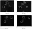 Fig. 12 - Electroporation, developmentally-activated cells, pluripotent-like cells, cell reprogramming and regenerative medicine