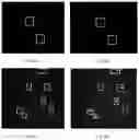 Fig. 13 - Electroporation, developmentally-activated cells, pluripotent-like cells, cell reprogramming and regenerative medicine