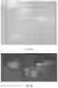 Fig. 15 - Electroporation, developmentally-activated cells, pluripotent-like cells, cell reprogramming and regenerative medicine
