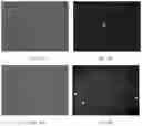 Fig. 24 - Electroporation, developmentally-activated cells, pluripotent-like cells, cell reprogramming and regenerative medicine