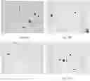 Fig. 25 - Electroporation, developmentally-activated cells, pluripotent-like cells, cell reprogramming and regenerative medicine