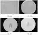 Fig. 26 - Electroporation, developmentally-activated cells, pluripotent-like cells, cell reprogramming and regenerative medicine