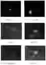 Fig. 32 - Electroporation, developmentally-activated cells, pluripotent-like cells, cell reprogramming and regenerative medicine
