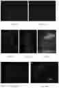 Fig. 34 - Electroporation, developmentally-activated cells, pluripotent-like cells, cell reprogramming and regenerative medicine