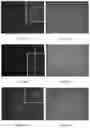 Fig. 36 - Electroporation, developmentally-activated cells, pluripotent-like cells, cell reprogramming and regenerative medicine