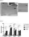 Fig. 04 - Immersion deposition methods and compositions for use in the same