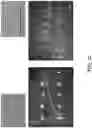 Fig. 13 - Method and system for printing cells to a substrate comprising cell adhesive regions