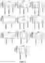 Fig. 08 - CD34+,CD45- PLACENTAL STEM CELL-ENRICHED CELL POPULATIONS