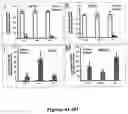 Fig. 06 - INDUCED PLURIPOTENT CELL-DERIVED OLIGODENDROCYTE PROGENITOR CELLS FOR THE TREATMENT OF MYELIN DISORDERS