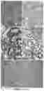 Fig. 13 - INDUCED PLURIPOTENT CELL-DERIVED OLIGODENDROCYTE PROGENITOR CELLS FOR THE TREATMENT OF MYELIN DISORDERS