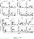 Fig. 07 - Induced pluripotent cell-derived oligodendrocyte progenitor cells for the treatment of myelin disorders