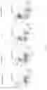 Fig. 05 - METHOD FOR IN VITRO ACTIVATION OF IMMUNE CELLS