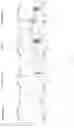Fig. 07 - METHOD FOR IN VITRO ACTIVATION OF IMMUNE CELLS