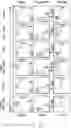 Fig. 14 - Methods and compositions for generating hematopoietic cells
