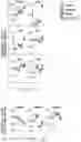 Fig. 18 - Methods and compositions for generating hematopoietic cells