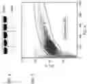 Fig. 02 - Progenitor cells of mesodermal lineage