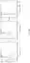 Fig. 04 - Progenitor cells of mesodermal lineage