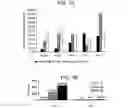 Fig. 02 - Differentiation of human embryonic stem cells