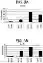 Fig. 04 - Differentiation of human embryonic stem cells