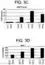 Fig. 05 - Differentiation of human embryonic stem cells