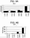 Fig. 06 - Differentiation of human embryonic stem cells