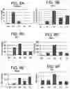 Fig. 08 - Differentiation of human embryonic stem cells