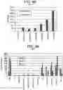 Fig. 10 - Differentiation of human embryonic stem cells