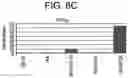 Fig. 11 - Differentiation of human embryonic stem cells